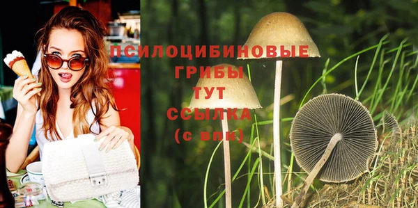 герыч Богородицк