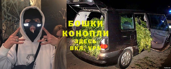 spice Богданович