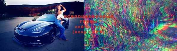 jwh Белокуриха