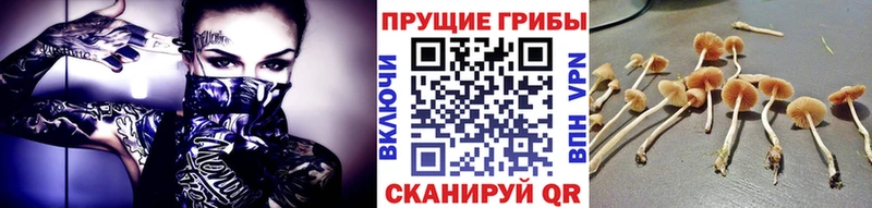 Галлюциногенные грибы мухоморы  дарк нет состав  Сковородино 